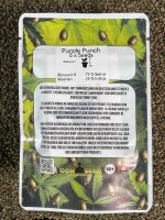 Don Seed Company Purple Punch, feminisiert