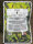 Don Seed Company, Biscotti feminisiert