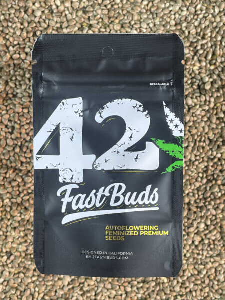 FastBuds Apple Strudel Auto, automatic