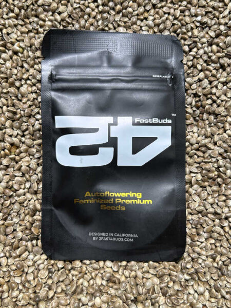 FastBuds Californian Snow Auto, automatic