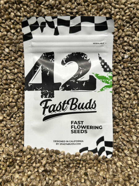 FastBuds GG4 Sherbet FF, feminisiert