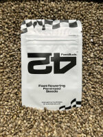 FastBuds Gorilla Cookies FF, feminisiert