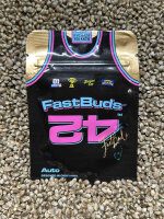 FastBuds Pineapple Express Auto, automatic