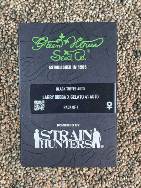 Green House Seeds Black Toffee Auto, automatic