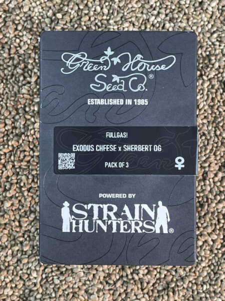 Green House Seeds Fullgas!, feminisiert