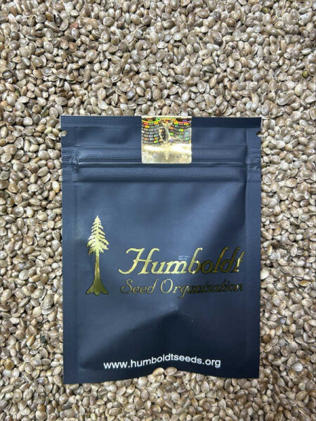 HUMBOLDT SEEDS ORGANISATION PEANUT BUTTER BREATH FAST FLOWERING, feminisiert