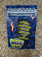 RIPPER SEEDS Do-g, feminisiert