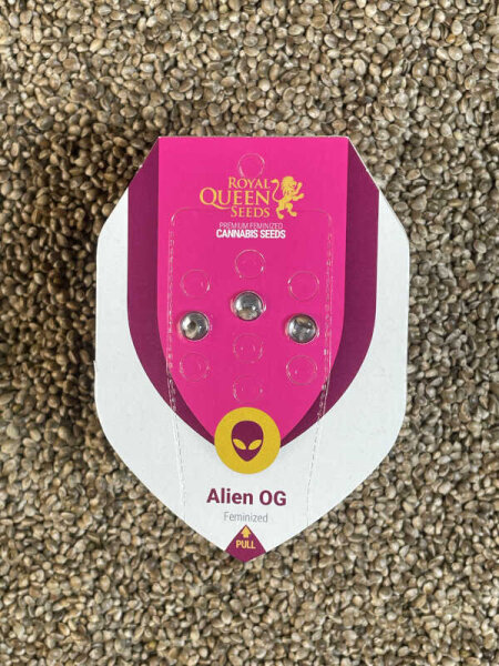 ROYAL QUEEN SEEDS Alien OG, feminisiert