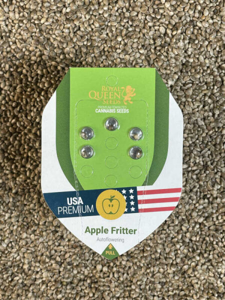 ROYAL QUEEN SEEDS Apple Fritter Auto, automatic