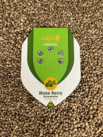ROYAL QUEEN SEEDS Haze Berry Auto, automatic