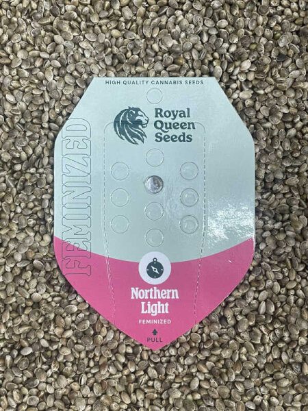 ROYAL QUEEN SEEDS Northern Light, feminisiert