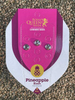 ROYAL QUEEN SEEDS Pineapple Kush, feminisiert