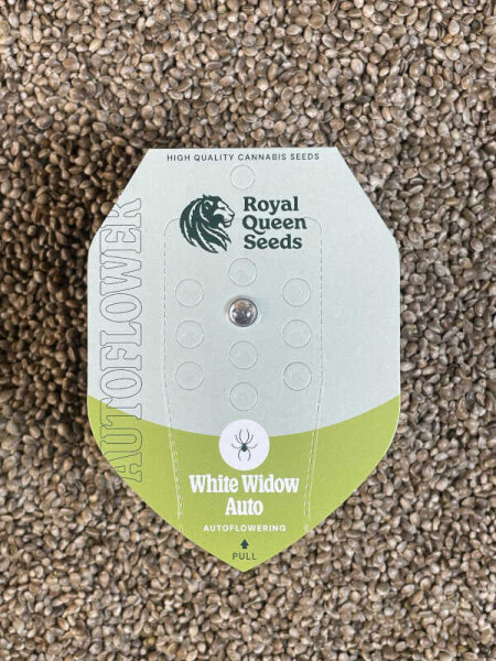 ROYAL QUEEN SEEDS White Widow Auto, automatic