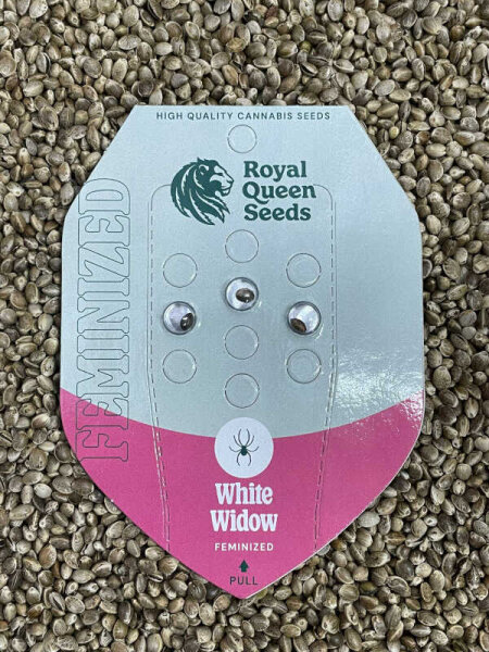 ROYAL QUEEN SEEDS White Widow, feminisiert