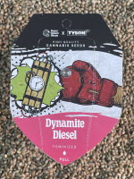 ROYAL QUEEN SEEDS X TYSON Dynamite Diesel, feminisiert