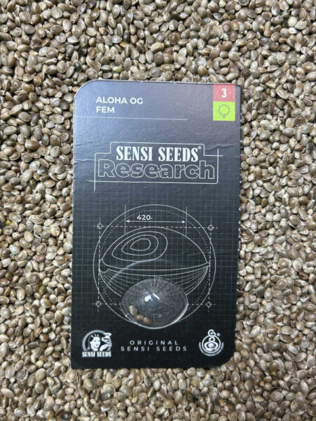 SENSI SEEDS RESEARCH ALOHA OG, feminisiert