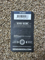 SENSI SEEDS RESEARCH PAPI CHULO OG, feminisiert