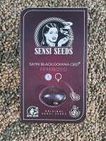 SENSI SEEDS Satin Black Domina CBD, THC:CBD, 2:1, feminisiert