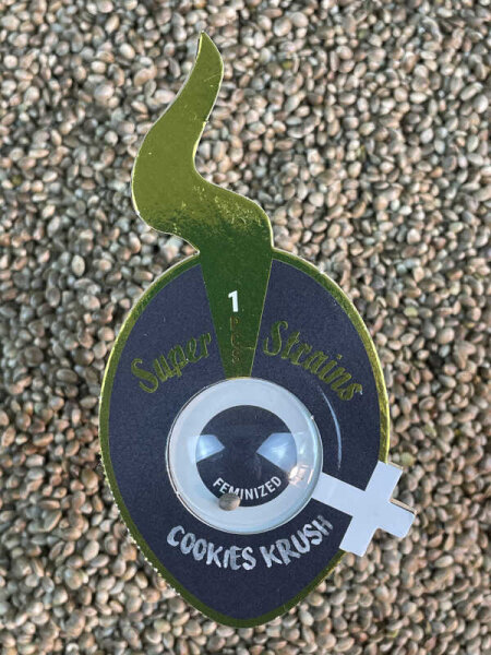Super Strains Cookies Krush, feminisiert