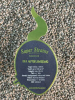 Super Strains DFA Autoflowering, automatic