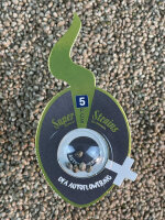 Super Strains DFA Autoflowering, automatic