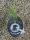 Super Strains DFA Autoflowering, automatic