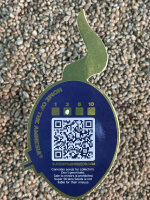 Super Strains Do-Si-Dos Auto, automatic