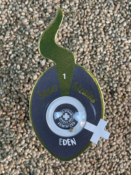 Super Strains Eden-CBD,CBD:THC, 70:1, feminisiert
