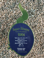 Super Strains Eden-CBD,CBD:THC, 70:1, feminisiert