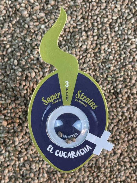 Super Strains El Cucaracha, feminisiert