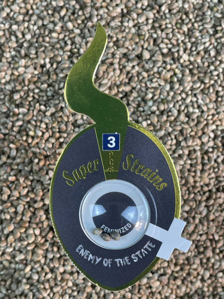 Super Strains Enemy of the State, feminisiert