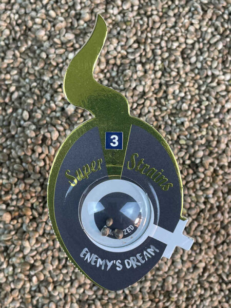 Super Strains Enemy´s Dream, feminisiert