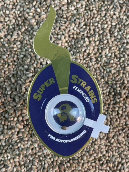 Super Strains Automatic Fini, automatic