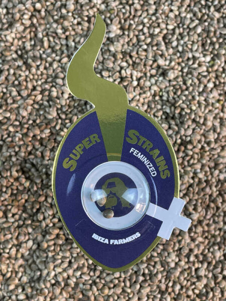 Super Strains Ibiza Farmers, feminisiert