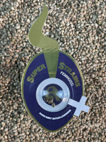 Super Strains Kush Mint Auto, automatic