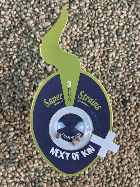 Super Strains Next of Kin, feminisiert