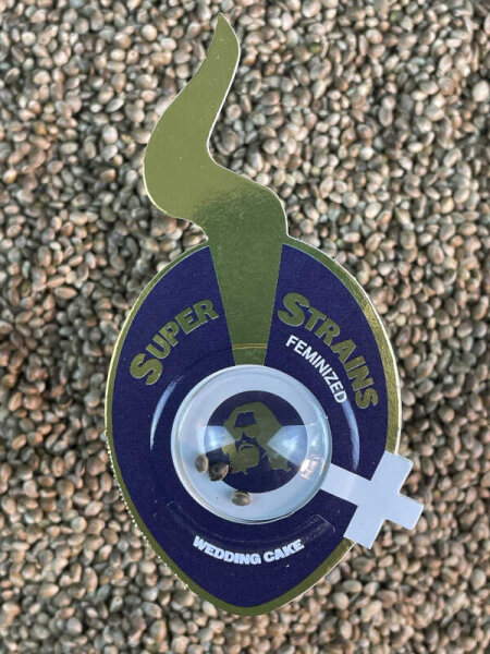 Super Strains Wedding Cake, feminisiert
