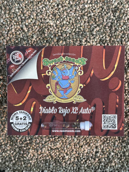 Sweet Seeds Diablo Rojo XL Auto, automatic