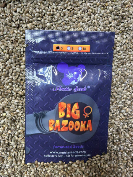 ANESIA SEEDS BIG BAZOOKA, feminisiert