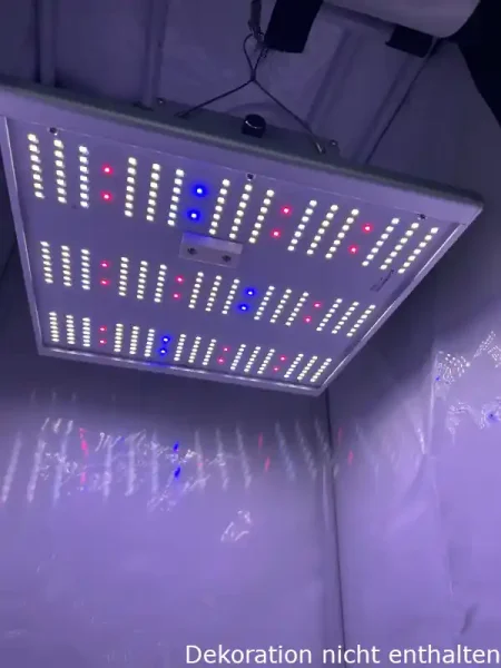 Caluma LED Force 75W, 2.7 µmol/J