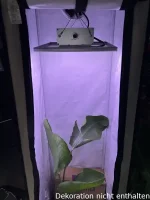 Caluma LED Force 75W, 2.7 µmol/J