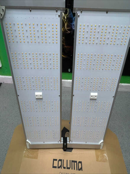 Caluma LED Force 320W, 2.7 µmol/J