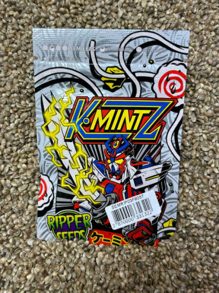 RIPPER SEEDS Kmintz, 3 Samen feminisiert