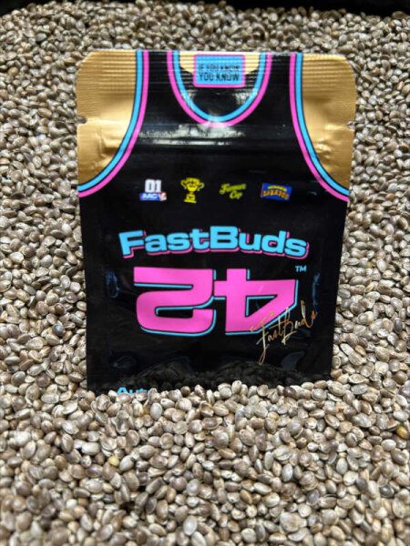 FastBuds Ztrawberries Auto, 3 Samen automatic