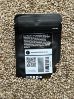 FastBuds Ztrawberries Auto, 1 Samen automatic