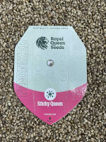 ROYAL QUEEN SEEDS Sticky Queen, 1 Samen feminisiert