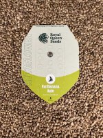 ROYAL QUEEN SEEDS Fat Banana Auto, 1 Samen automatic