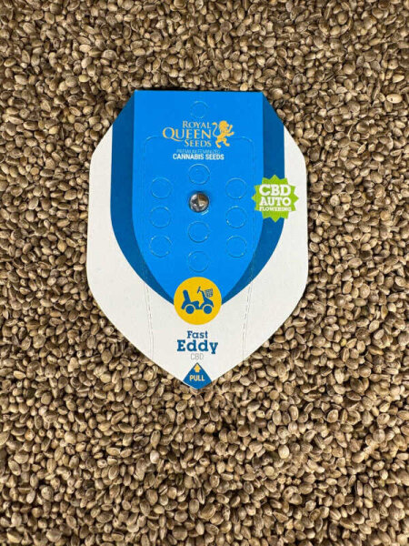 ROYAL QUEEN SEEDS Fast Eddy Auto CBD, 1 Samen automatic