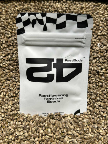 FastBuds Purple Lemonade FF, feminisiert