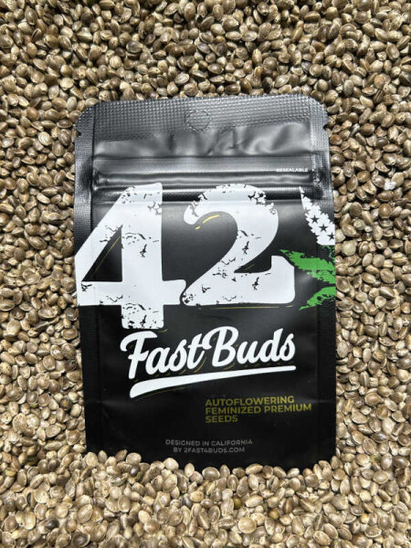 FastBuds Gorilla Z Auto, automatic